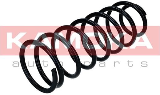 Suspension Spring 2120638