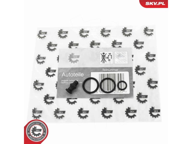 Repair Kit, unit injector 53SKV197