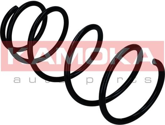 Suspension Spring 2110794 - image 2