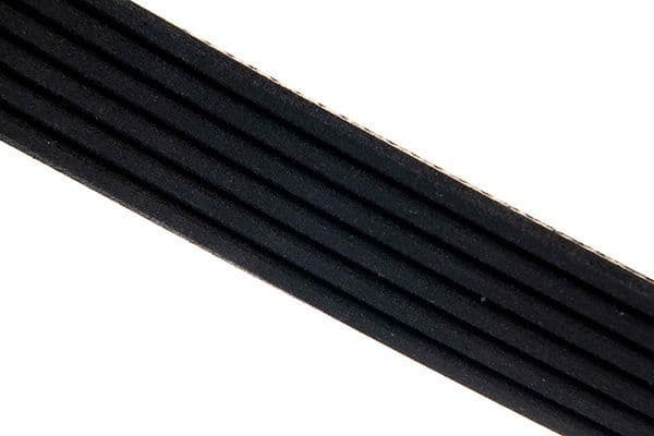 V-ribbed Belt 06-01240-SX - image 4