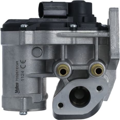 EGR Valve 703267