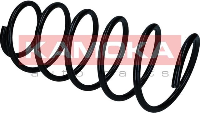 Suspension Spring 2110862