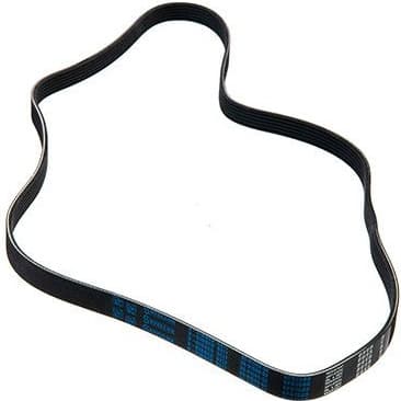 V-ribbed Belt 06-01580-SX - image 2