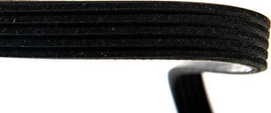 V-ribbed Belt 05-10868-SX - image 4