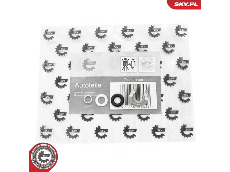 Seal Ring Set, injection valve 53SKV199