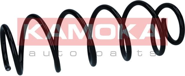 Suspension Spring 2120510