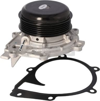 Water Pump, engine cooling 33 11 0702