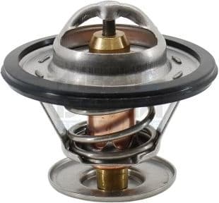 Thermostat, coolant 92227