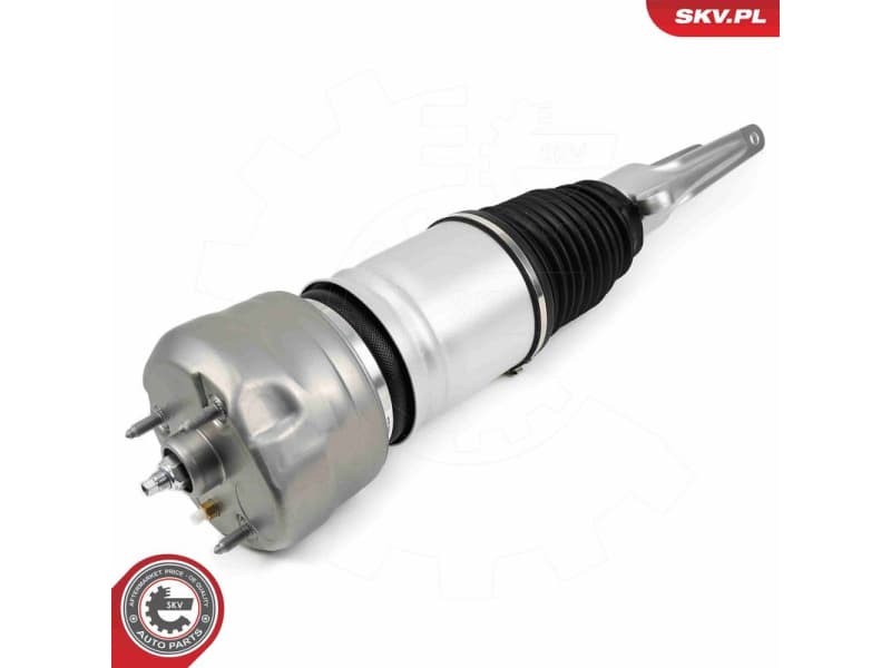Air Suspension Strut 58SKV707 - image 2