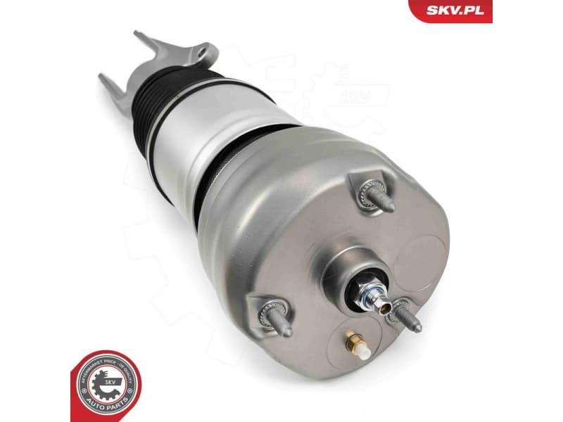 Air Suspension Strut 58SKV707 - image 4