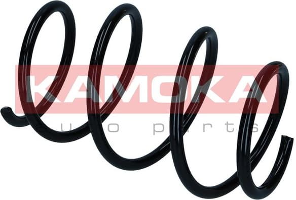 Suspension Spring 2110413