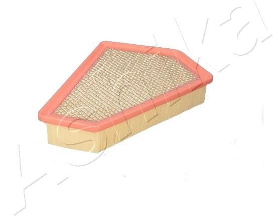 Air Filter 20-00-038