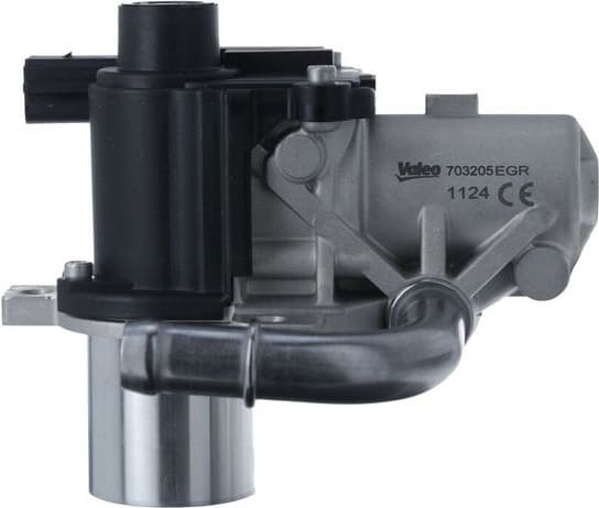 EGR Valve 703205