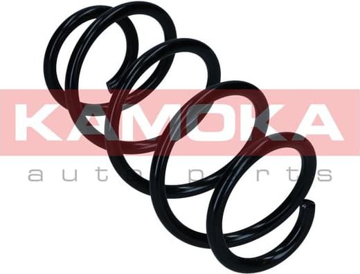 Coil spring 2110832
