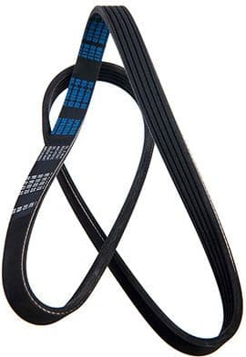 V-ribbed Belt 05-01030-SX