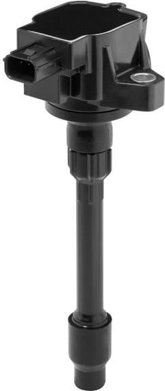 ZSE295 (BorgWarner (BERU))