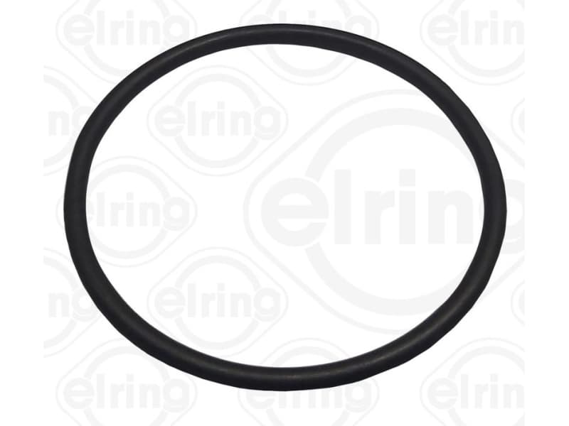 Seal, thermostat 755.770