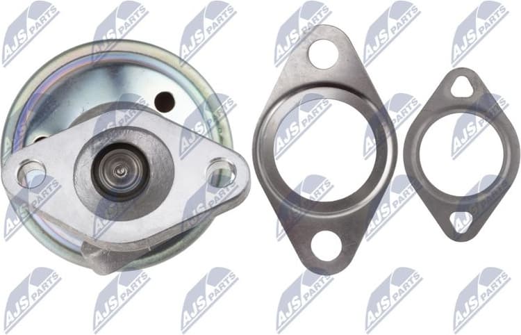 EGR Valve EGR-AU-041