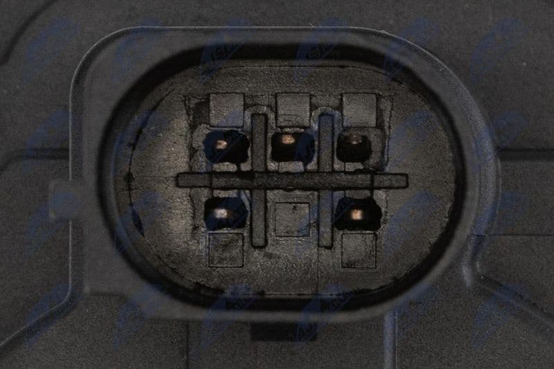 EGR Valve EGR-AU-043