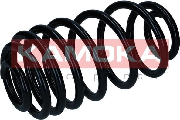 Suspension Spring 2120520