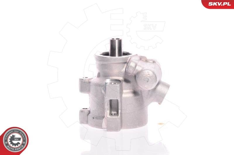 Hydraulic Pump, steering 10SKV080