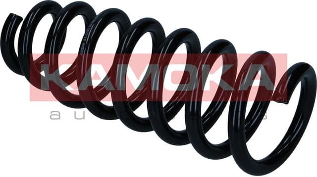 Suspension Spring 2110390