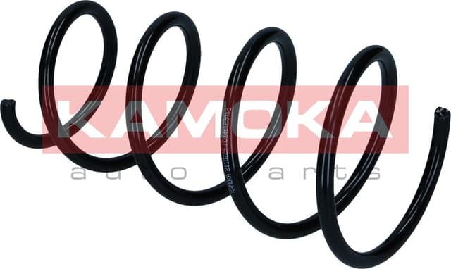 Suspension Spring 2110729