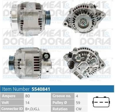 Alternator 5540841