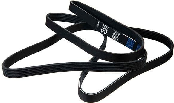 V-ribbed Belt 06-02460-SX