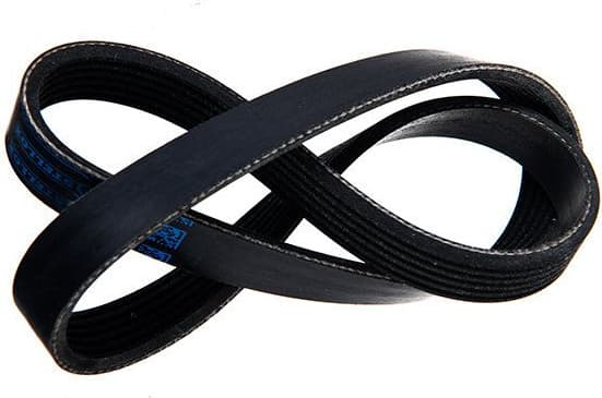 V-ribbed Belt 06-10831-SX