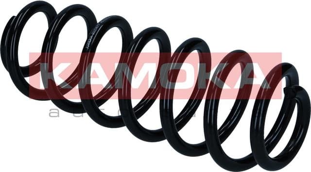 Suspension Spring 2120677