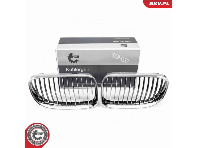 Radiator Grille 66SKV114