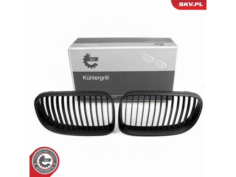 Radiator Grille 66SKV113