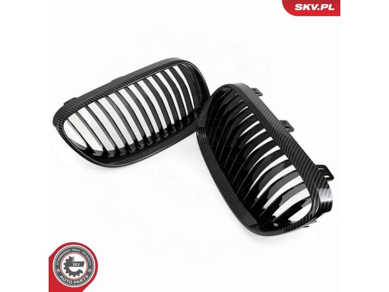 Radiator Grille 66SKV115 - image 4