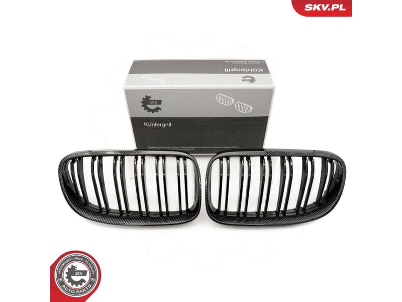 Radiator Grille 66SKV119