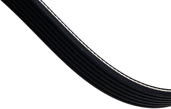 V-ribbed Belt 06-02579-SX - image 4