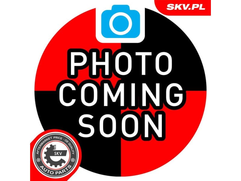 Licence Plate Light 72SKV005