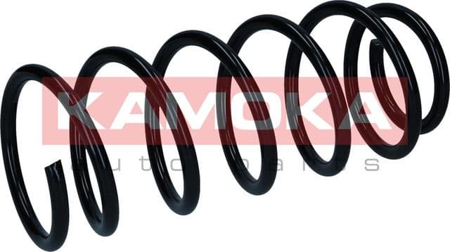 Suspension Spring 2120471 - image 4