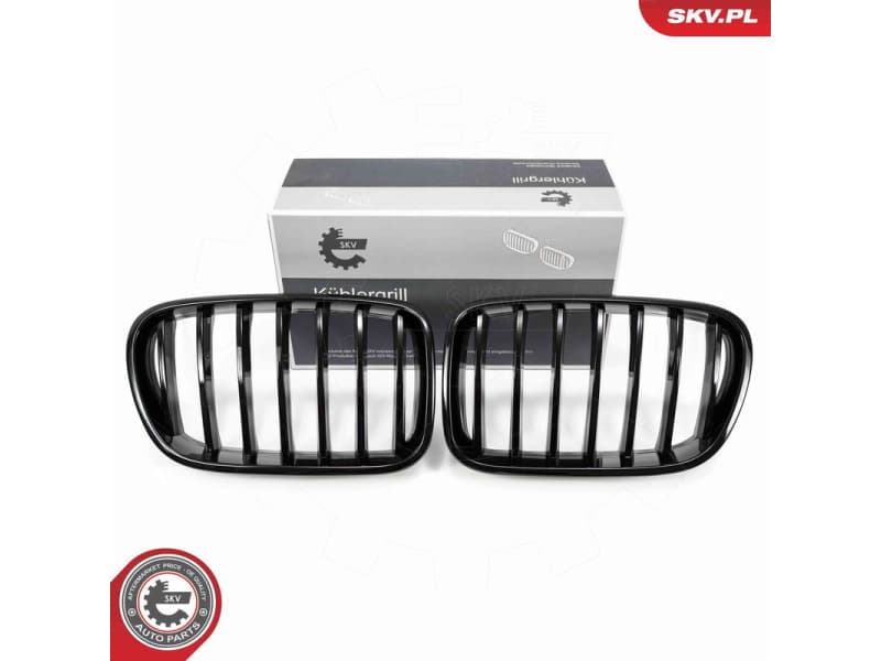 Radiator Grille 66SKV248