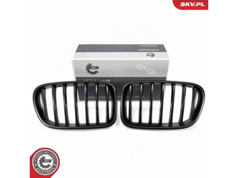 Radiator Grille 66SKV249