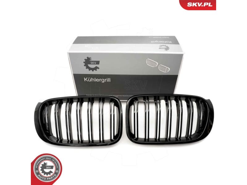 Radiator Grille 66SKV255