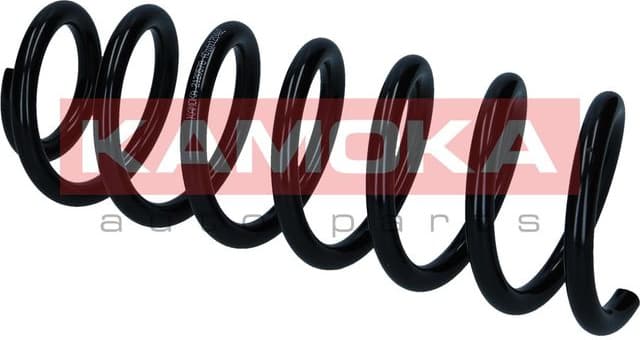 Suspension Spring 2120578