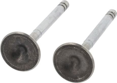Exhaust Valve 552748B - image 3
