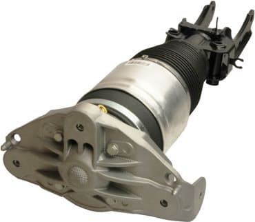 Air Suspension Strut 11-0788 - image 2