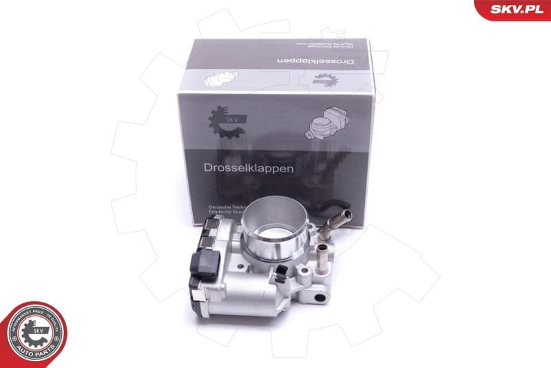 Throttle Body 12SKV117