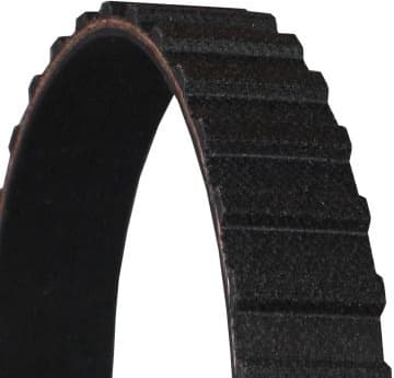 Timing Belt CT561 - image 2