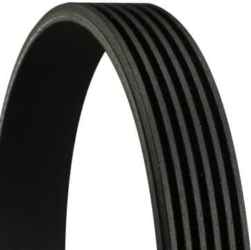 V-ribbed Belt 6PK778ELAST
