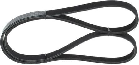 V-ribbed Belt 1987947926 - image 5
