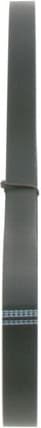 V-ribbed Belt 1987946298 - image 6