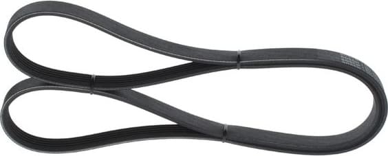 V-ribbed Belt 1987946056 - image 7